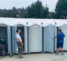 Best Portable Toilet Rental for Emergency Services  in Williamson, AZ